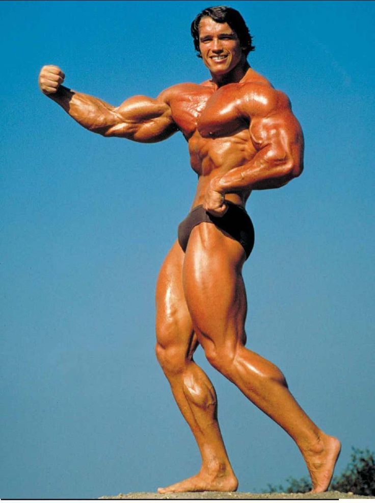 Arnold Schwarzenegger